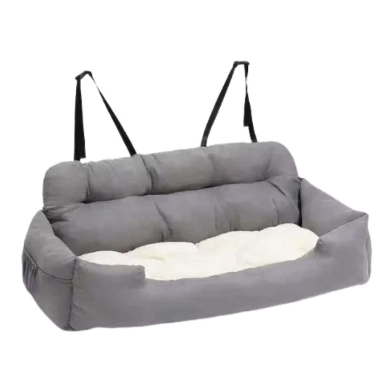 CozyPaw
