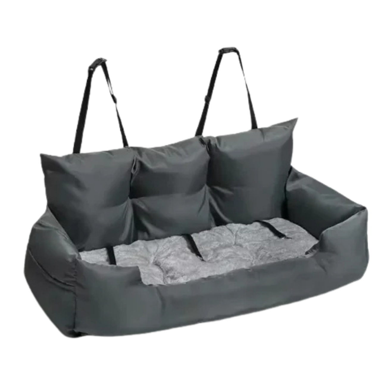 CozyPaw