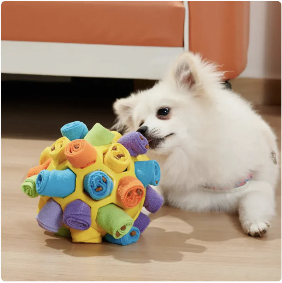 PuzzlePup