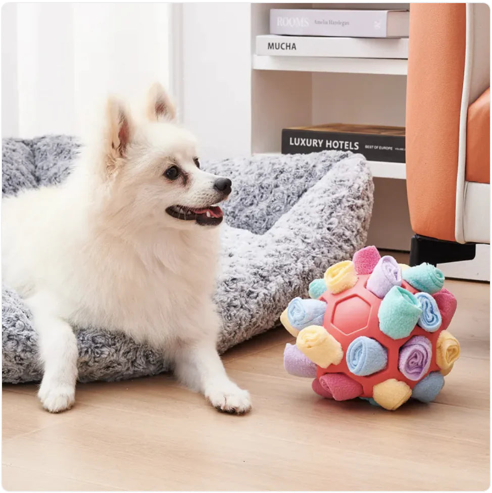 PuzzlePup