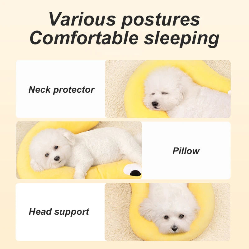 PawNap