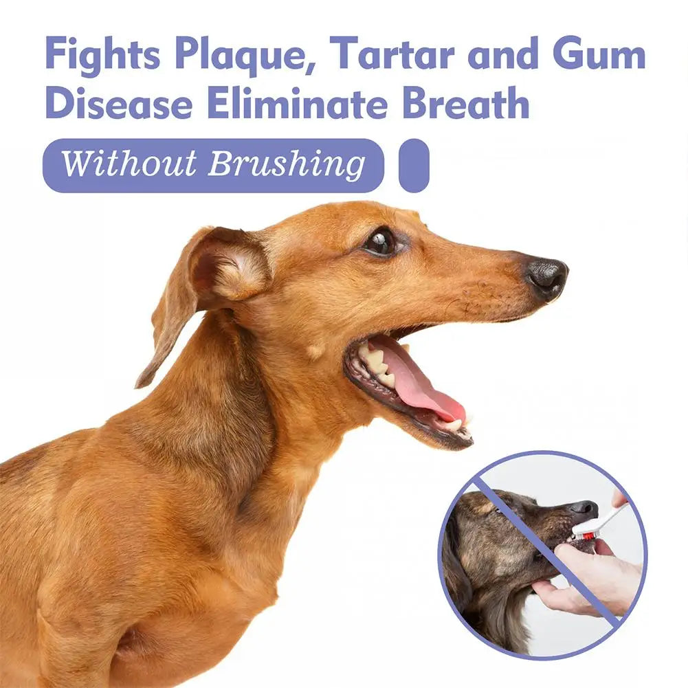 Pet Oral Cleanse Spray