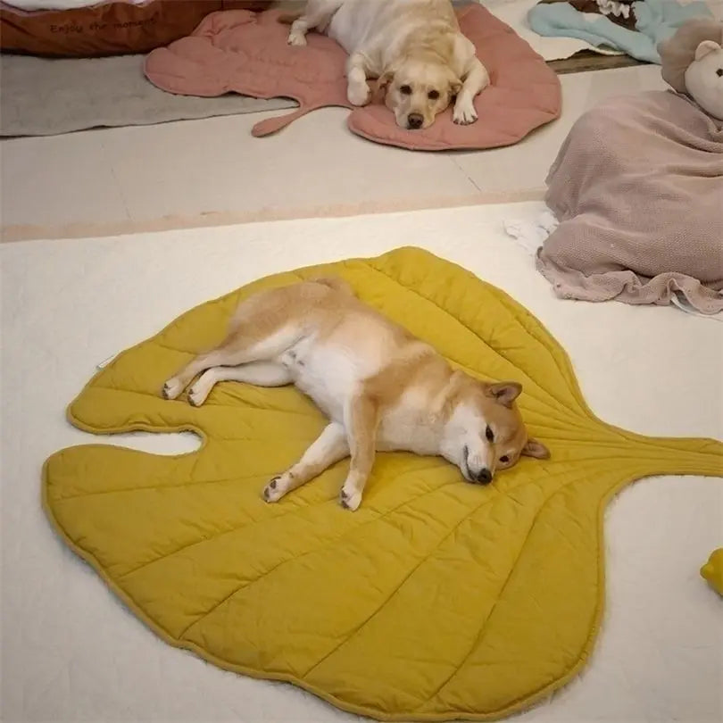 CoolLeaf
