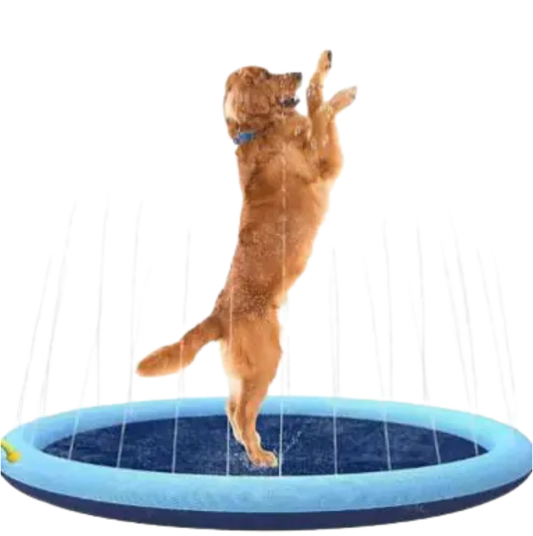 SplashPet