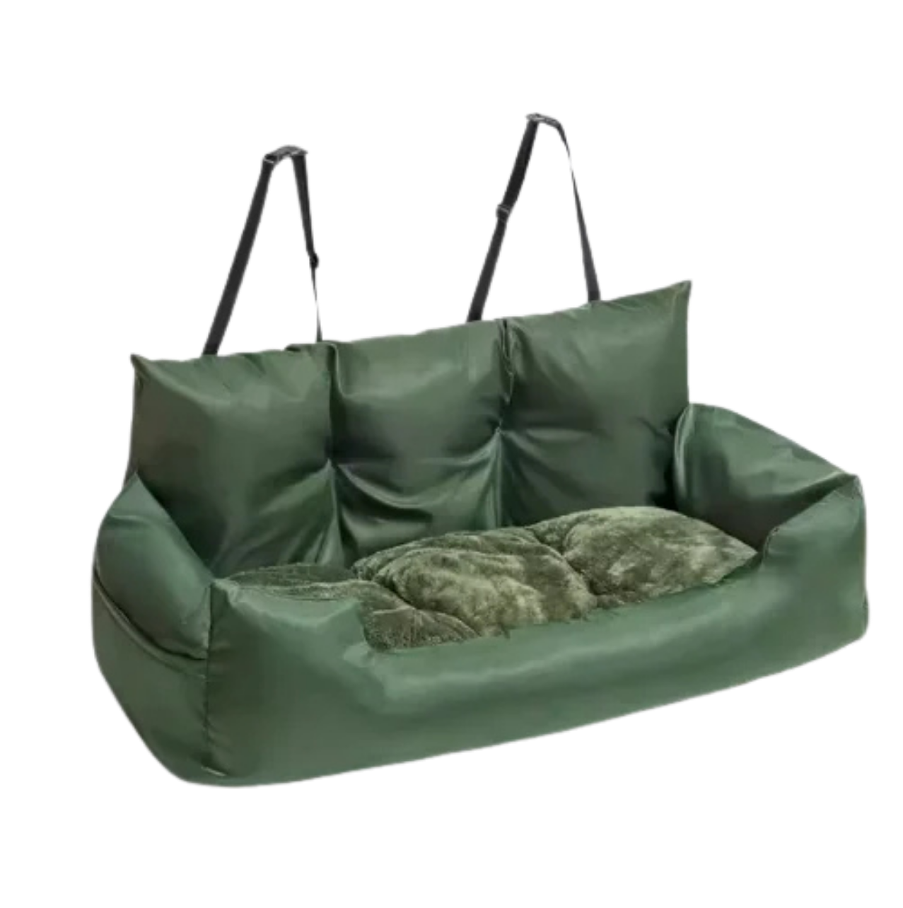 CozyPaw
