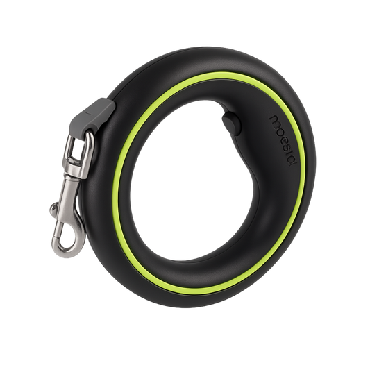 FlexiLead