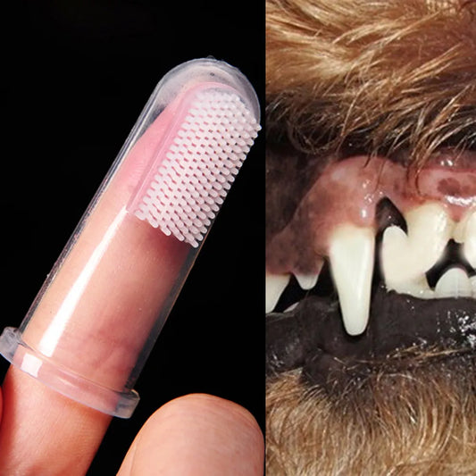 PetBrush